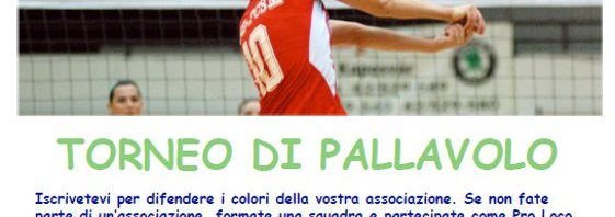 Torneo di Volley – Palio delle Associazioni 2014