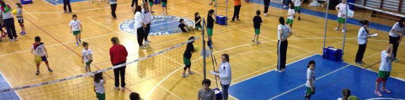 Minivolley: ancora tanto divertimento con il GS Pino Volley!